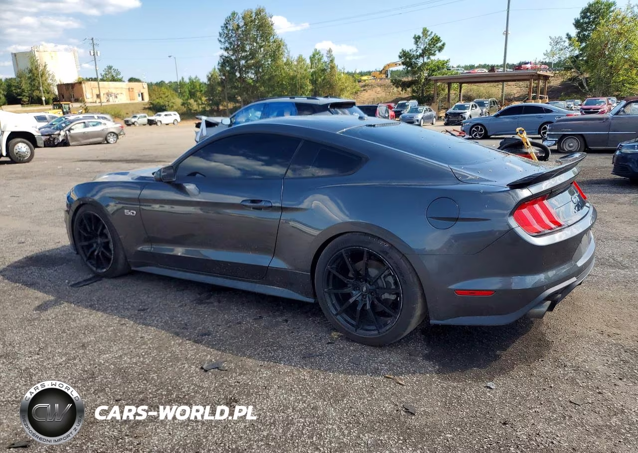 2019 Ford Mustang Gt VIN:1FA6P8CF9K5200441 - 2