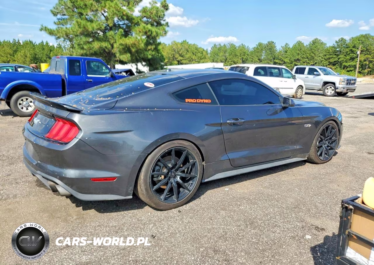 2019 Ford Mustang Gt VIN:1FA6P8CF9K5200441 - 3