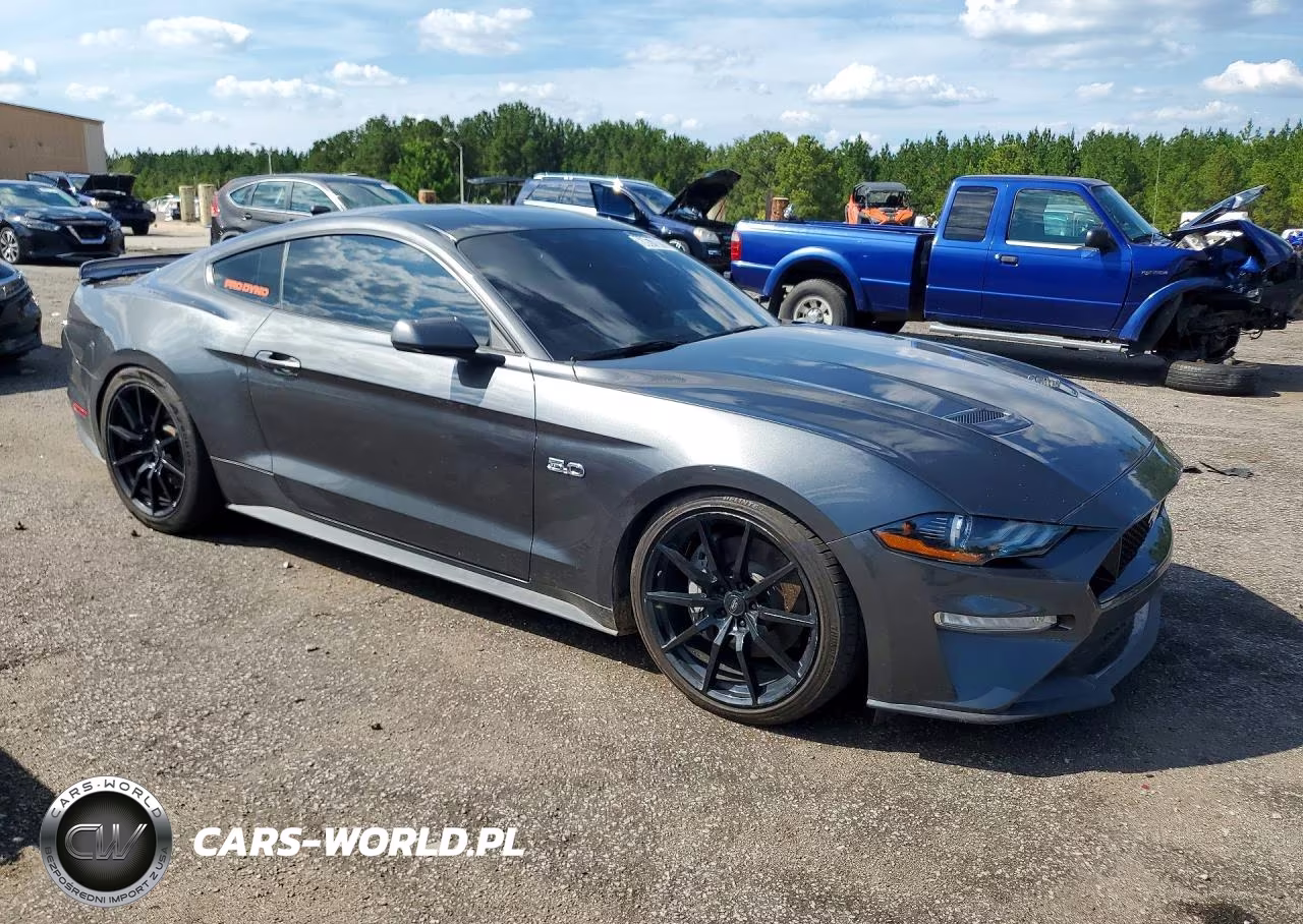 2019 Ford Mustang Gt VIN:1FA6P8CF9K5200441 - 4