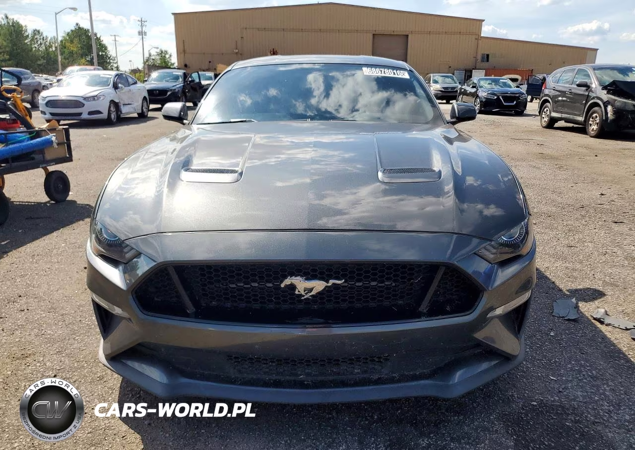 2019 Ford Mustang Gt VIN:1FA6P8CF9K5200441 - 5