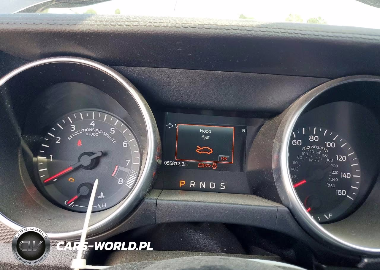 2019 Ford Mustang Gt VIN:1FA6P8CF9K5200441 - 9