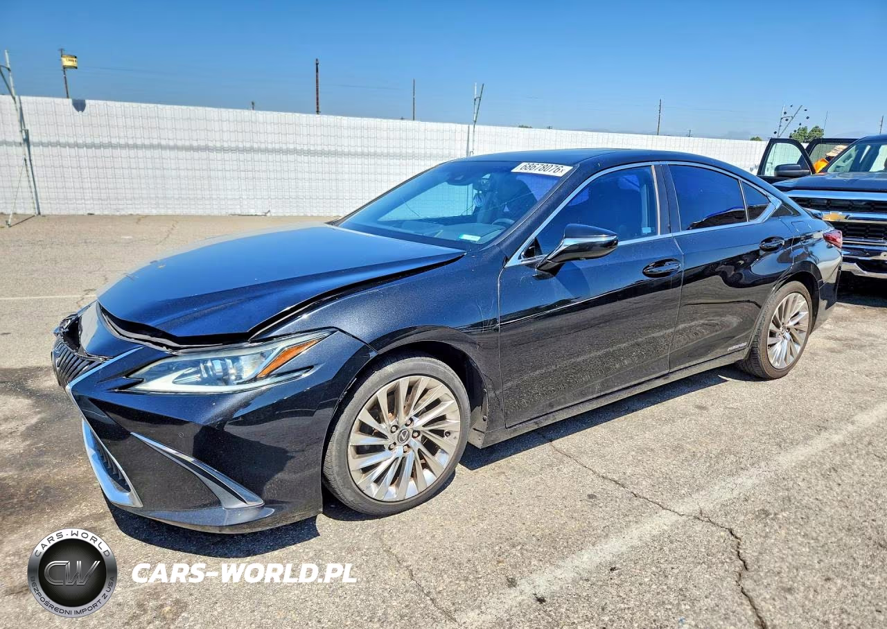 2019 Lexus Es 300H VIN:58AB21B12KU001648 - 1