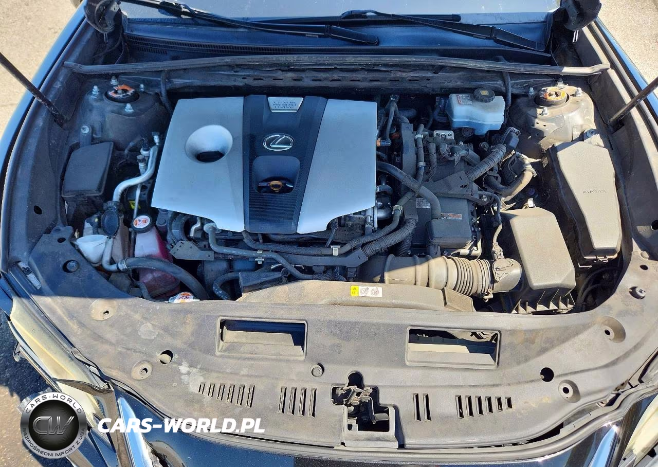 2019 Lexus Es 300H VIN:58AB21B12KU001648 - 11