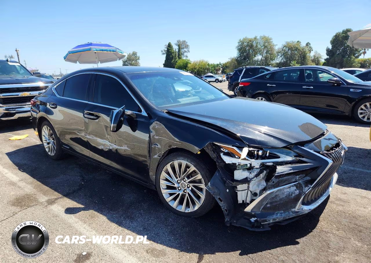 2019 Lexus Es 300H VIN:58AB21B12KU001648 - 4