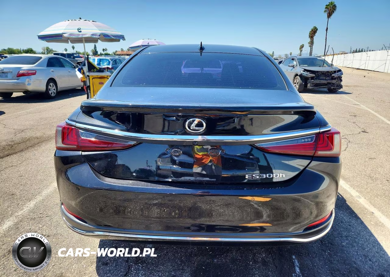 2019 Lexus Es 300H VIN:58AB21B12KU001648 - 6
