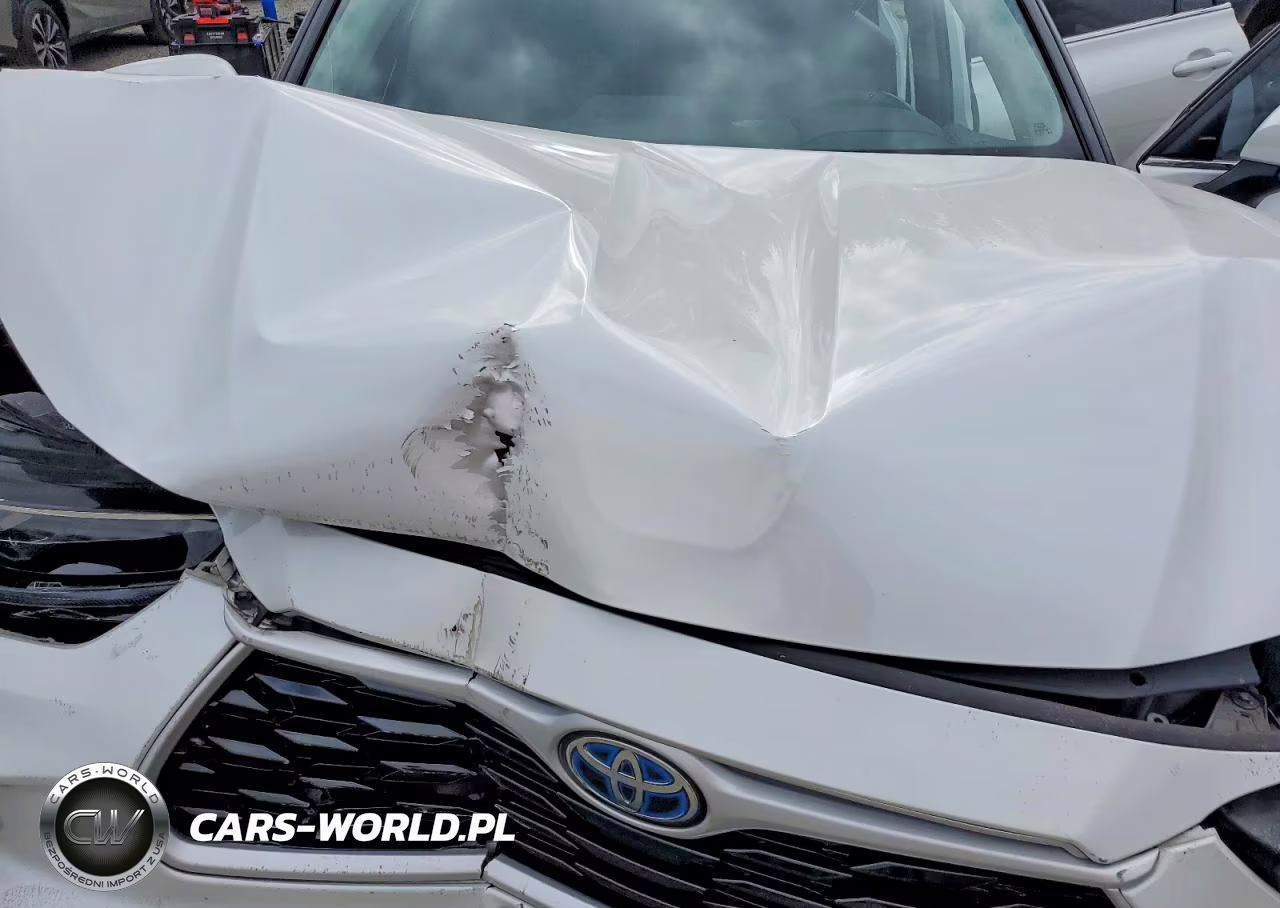 2023 Toyota Highlander Hybrid Xle VIN:5TDKBRCHXPS579840 - 12