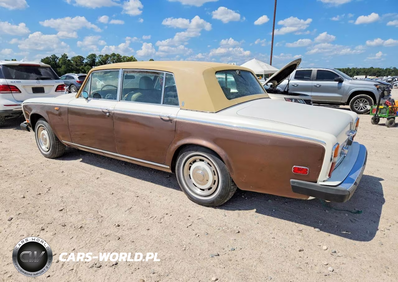 1973 Rolls-Royce Royce VIN:LRC19605 - 2