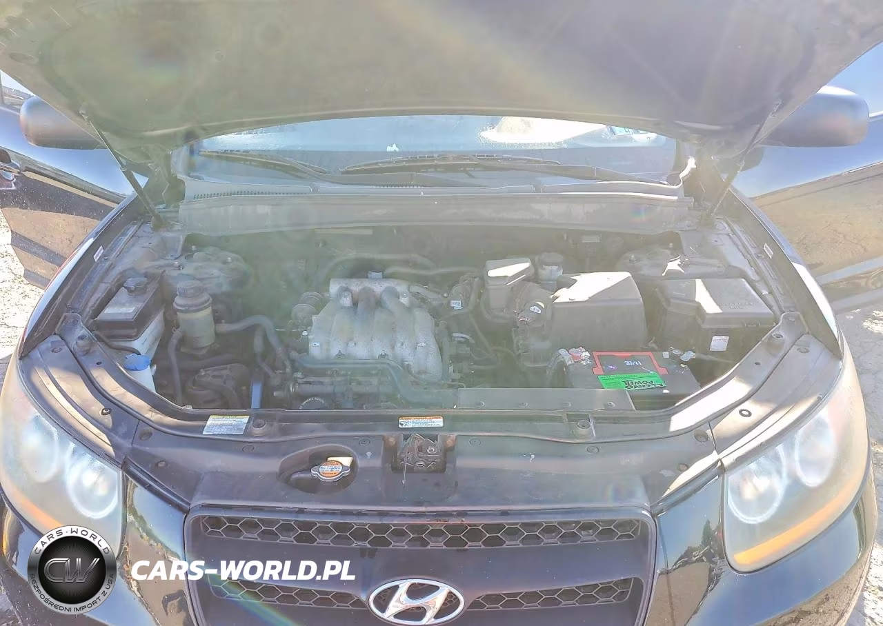 2009 Hyundai Santa Fe Gls VIN:5NMSG13D79H254598 - 12