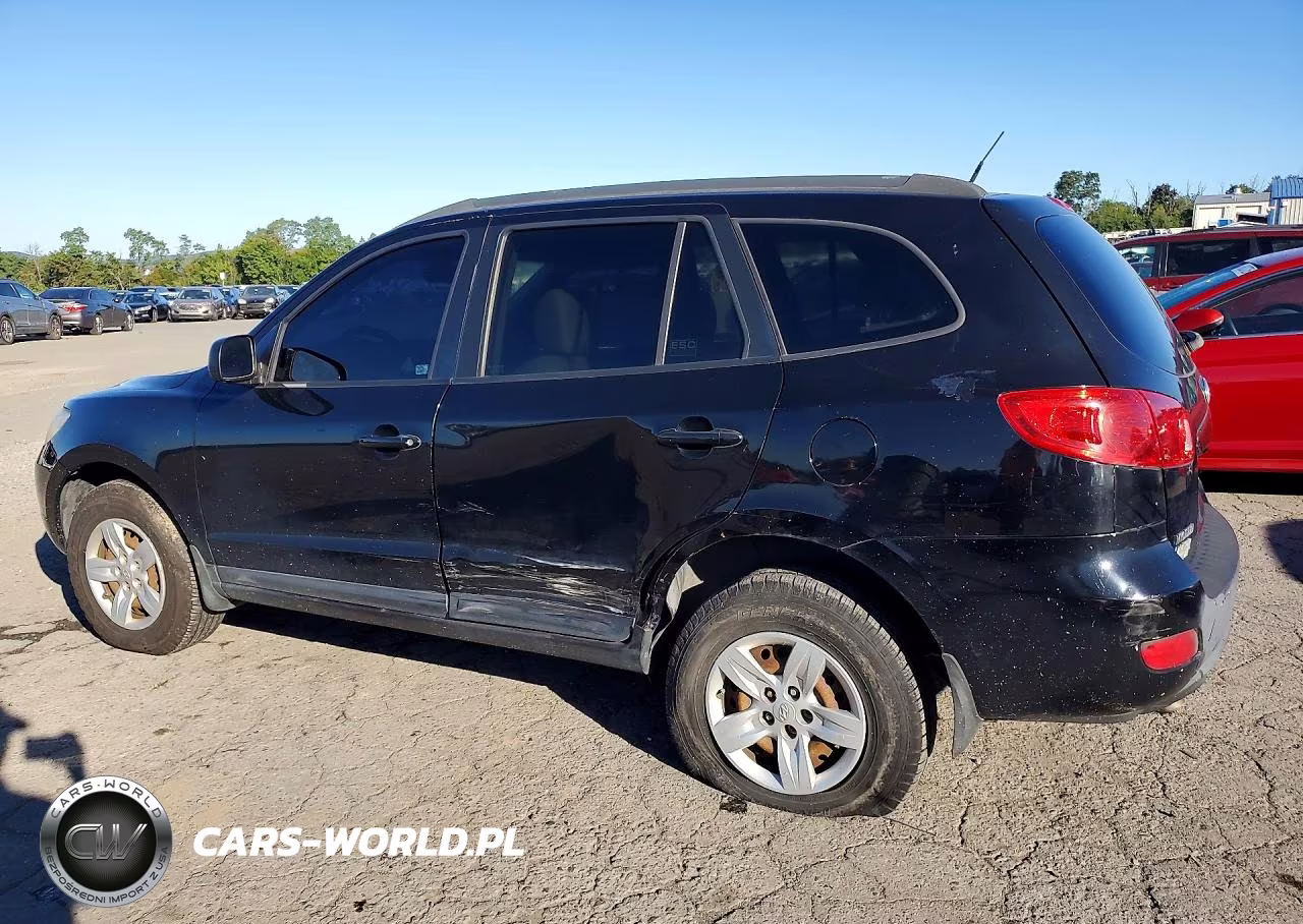 2009 Hyundai Santa Fe Gls VIN:5NMSG13D79H254598 - 2