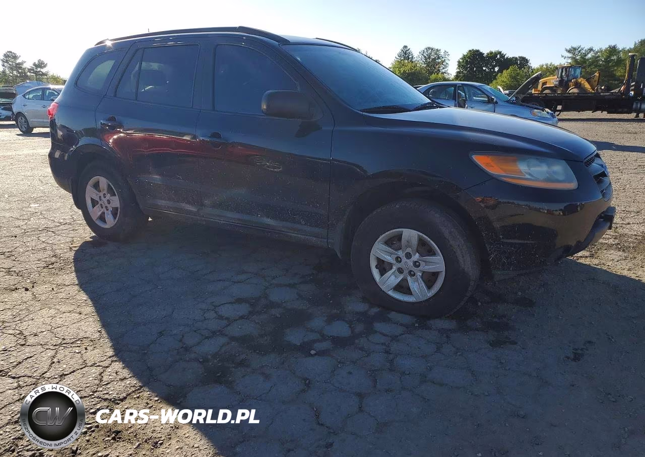 2009 Hyundai Santa Fe Gls VIN:5NMSG13D79H254598 - 4