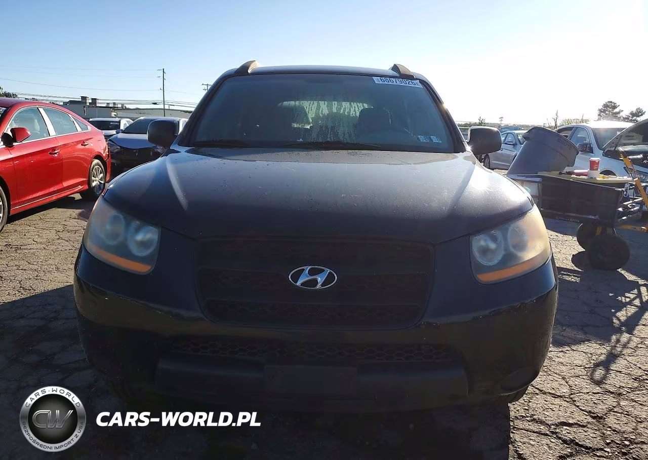2009 Hyundai Santa Fe Gls VIN:5NMSG13D79H254598 - 5