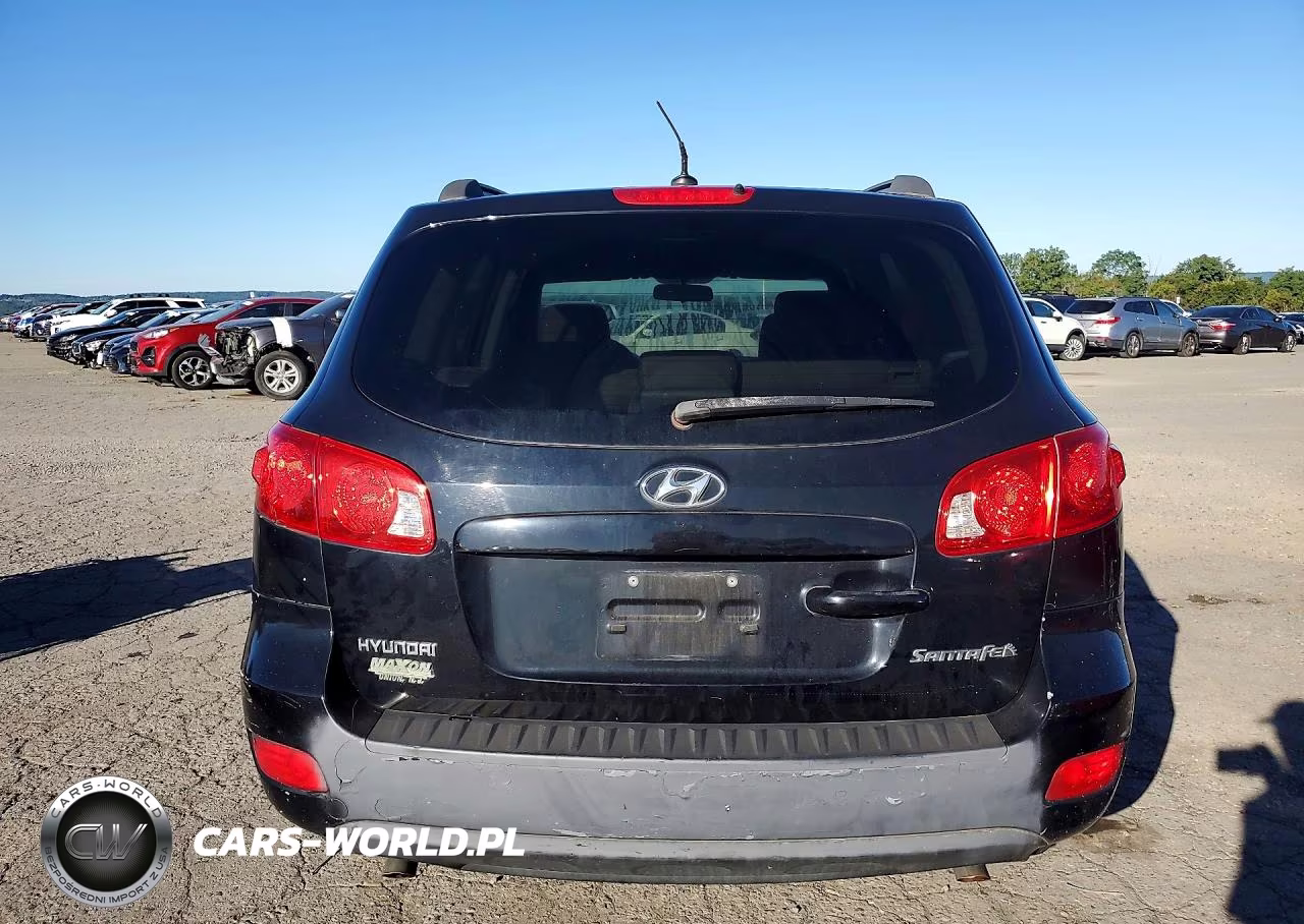 2009 Hyundai Santa Fe Gls VIN:5NMSG13D79H254598 - 6
