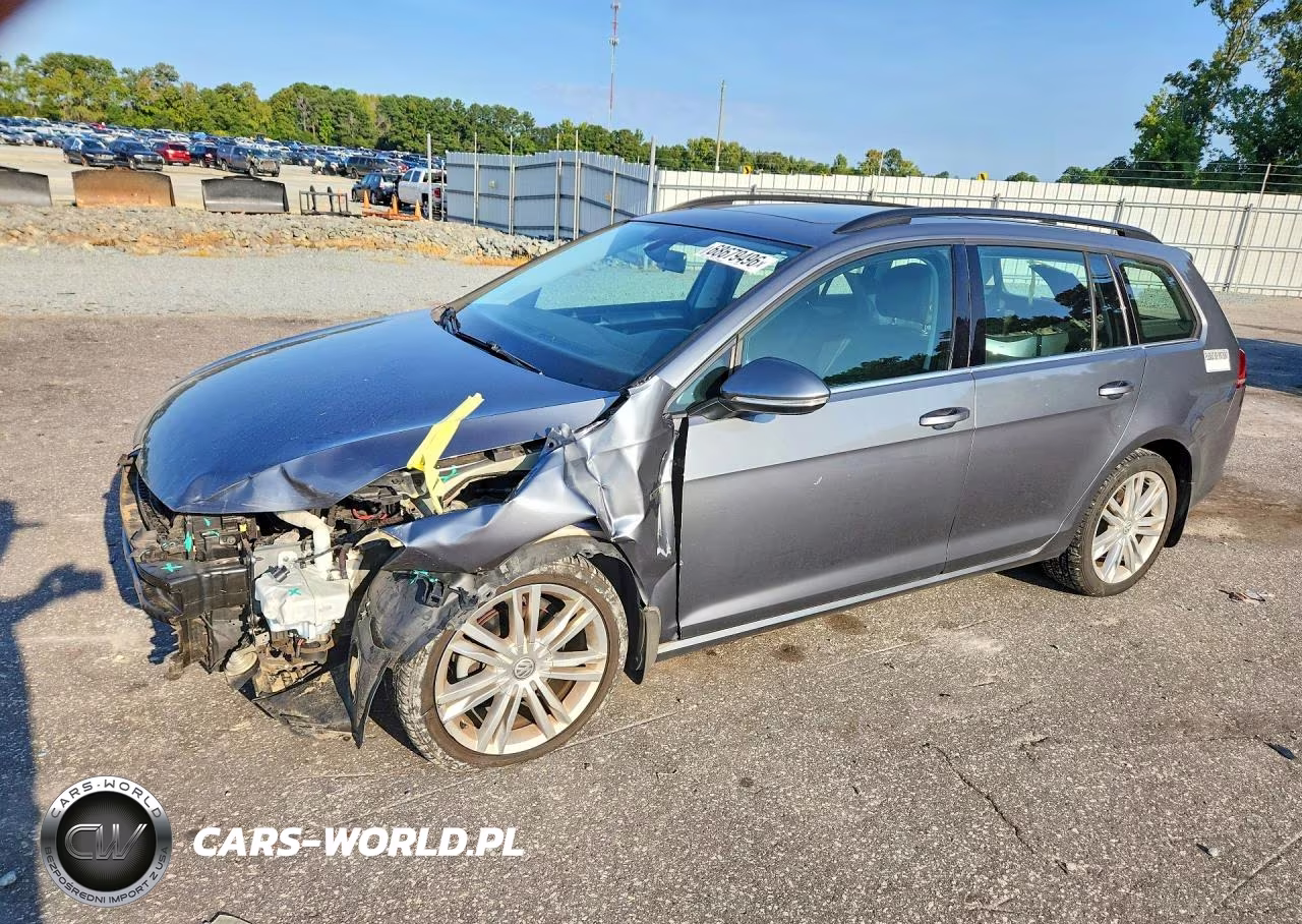 2016 Volkswagen Golf Sportwagen S VIN:3VWC17AU2GM521391 - 1