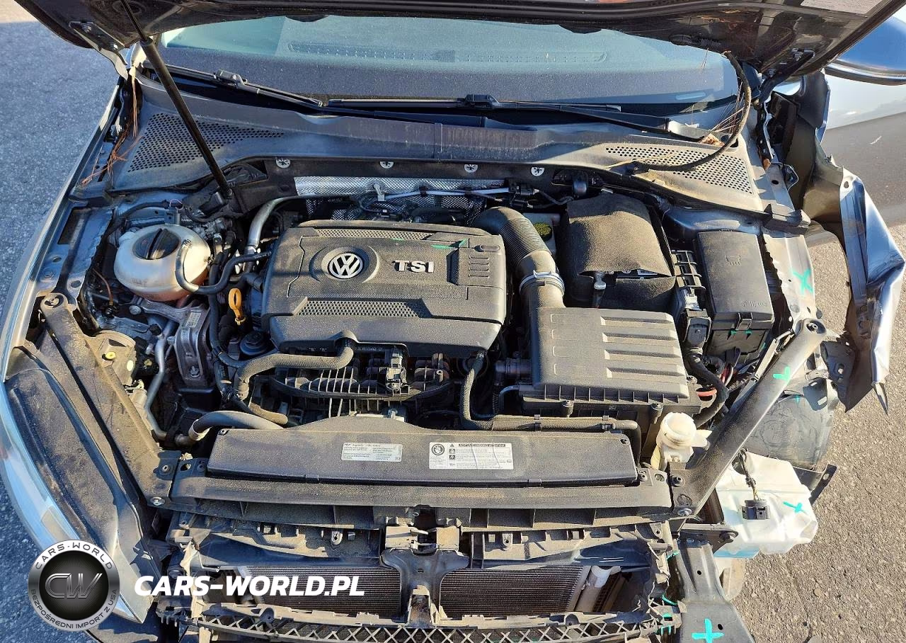 2016 Volkswagen Golf Sportwagen S VIN:3VWC17AU2GM521391 - 11