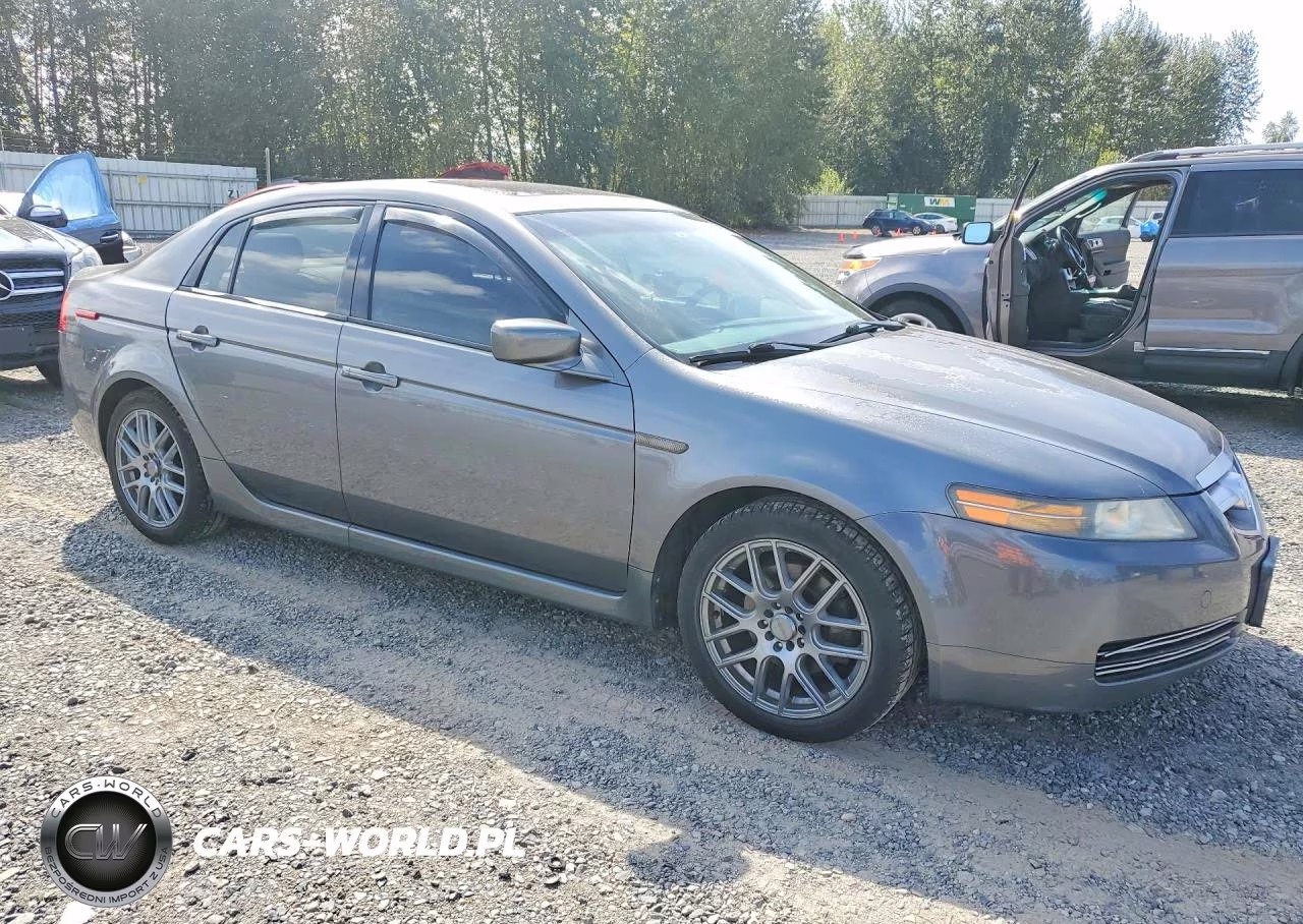 2004 Acura Tl VIN:19UUA66284A022906 - 4