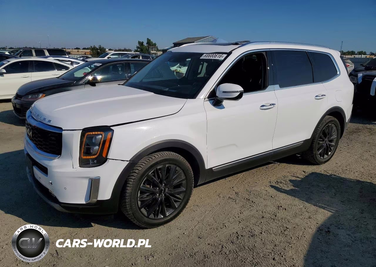 2022 Kia Telluride Sx VIN:5XYP5DHC5NG198954 - 1