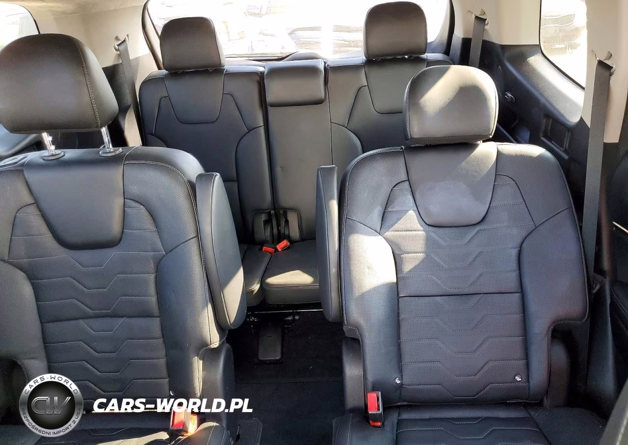 2022 Kia Telluride Sx VIN:5XYP5DHC5NG198954 - 10