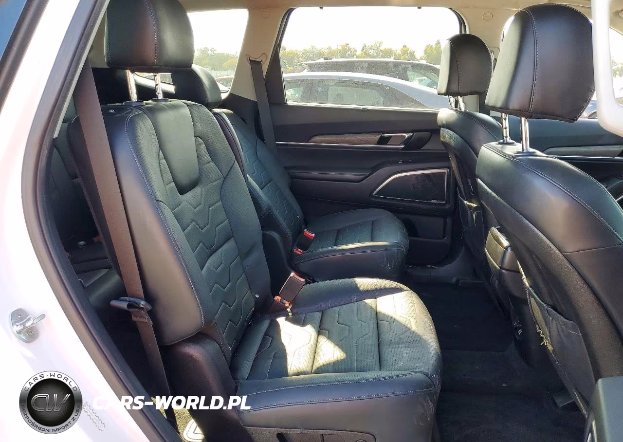 2022 Kia Telluride Sx VIN:5XYP5DHC5NG198954 - 11
