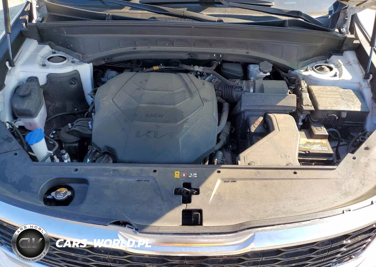 2022 Kia Telluride Sx VIN:5XYP5DHC5NG198954 - 12