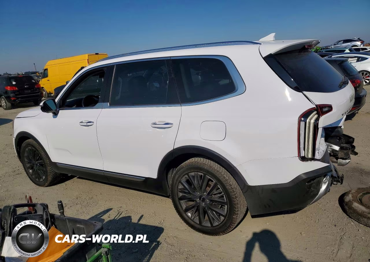 2022 Kia Telluride Sx VIN:5XYP5DHC5NG198954 - 2