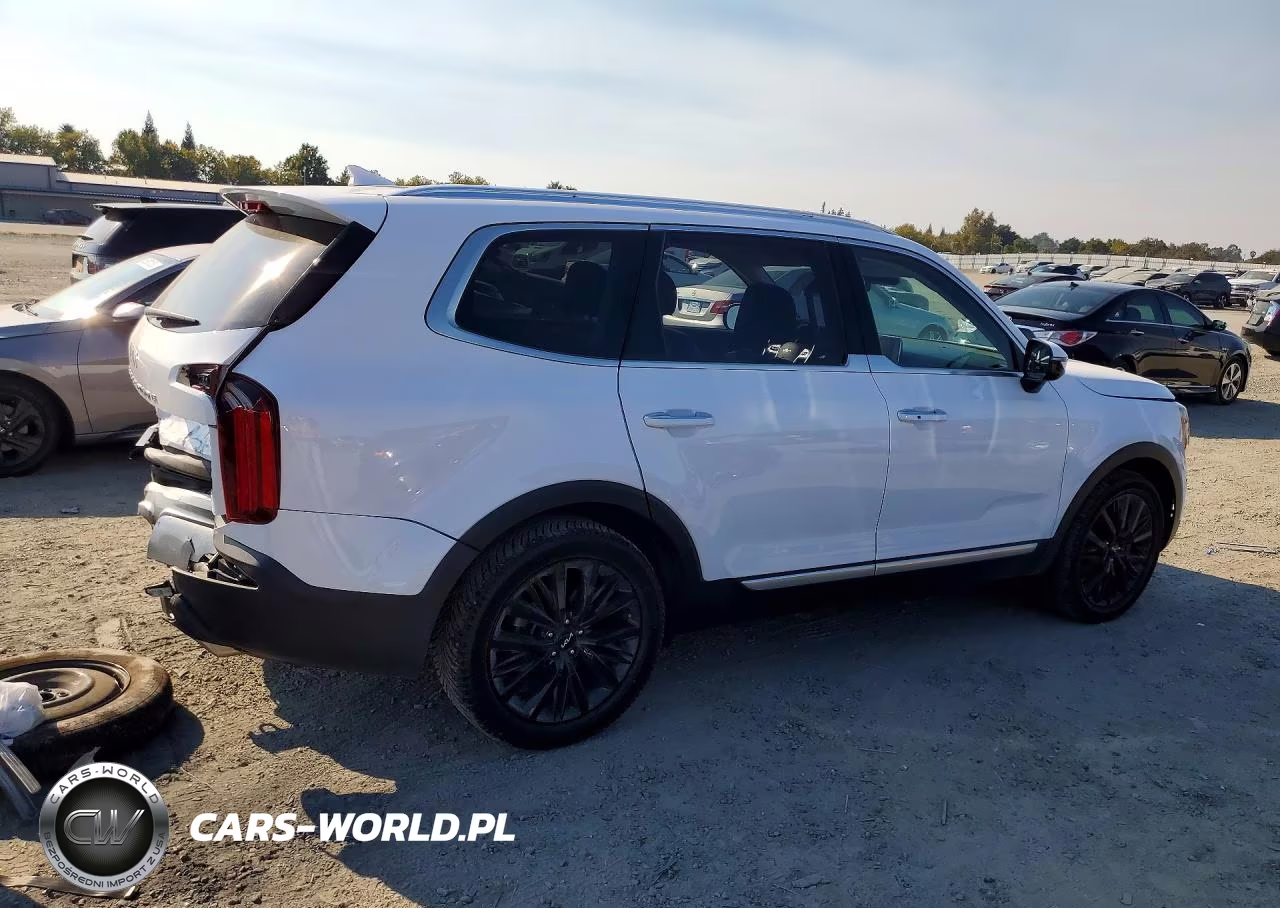 2022 Kia Telluride Sx VIN:5XYP5DHC5NG198954 - 3