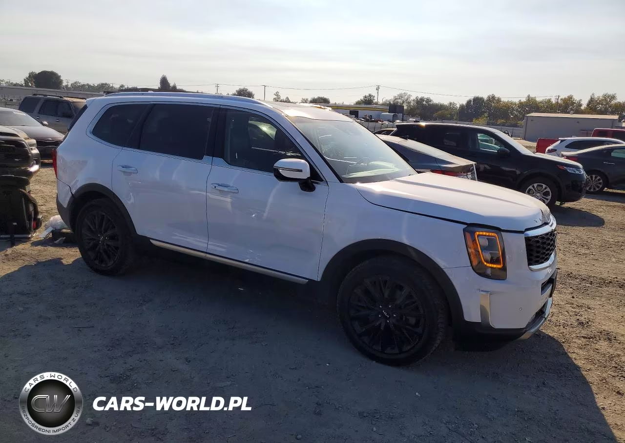 2022 Kia Telluride Sx VIN:5XYP5DHC5NG198954 - 4