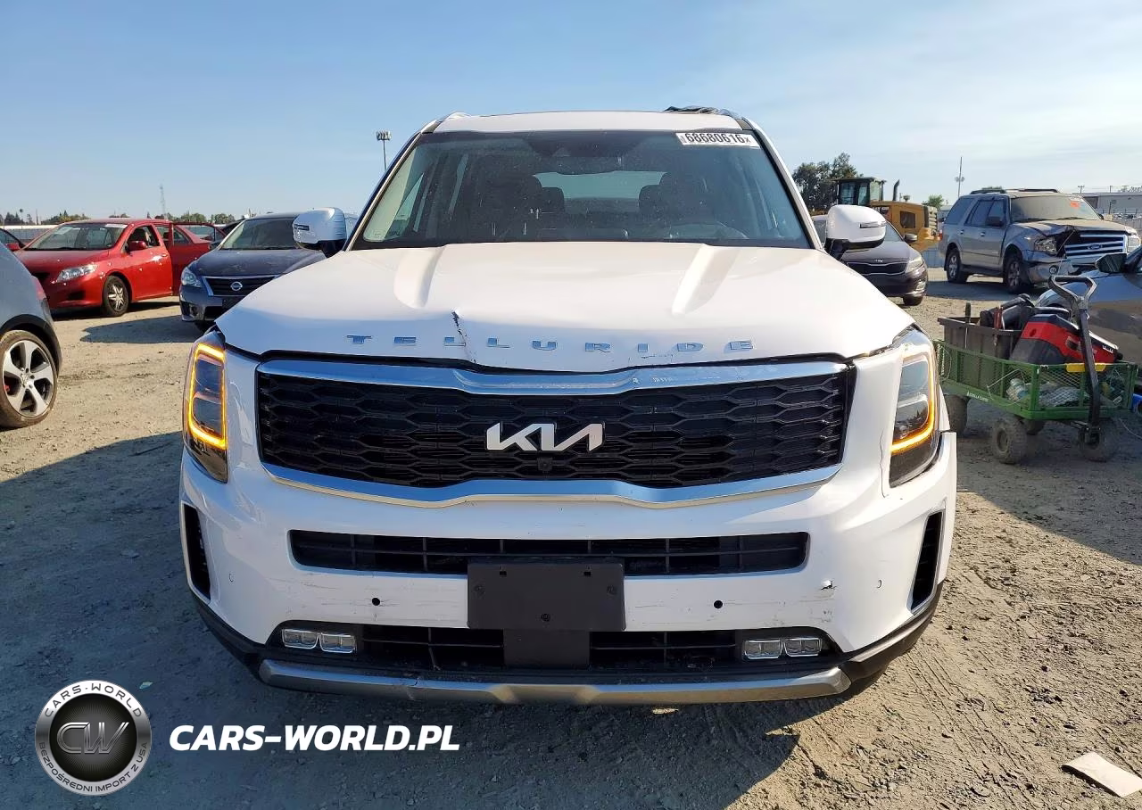 2022 Kia Telluride Sx VIN:5XYP5DHC5NG198954 - 5