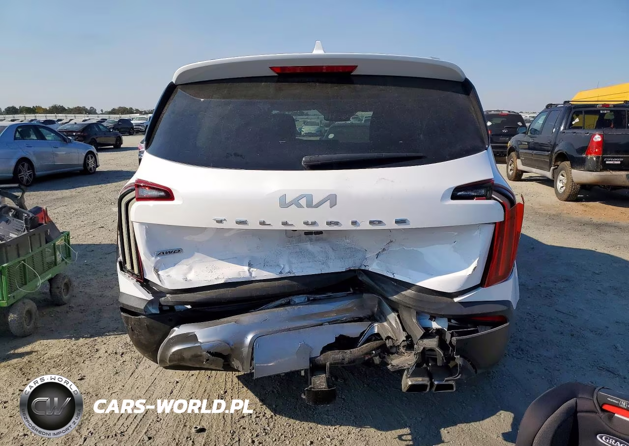 2022 Kia Telluride Sx VIN:5XYP5DHC5NG198954 - 6