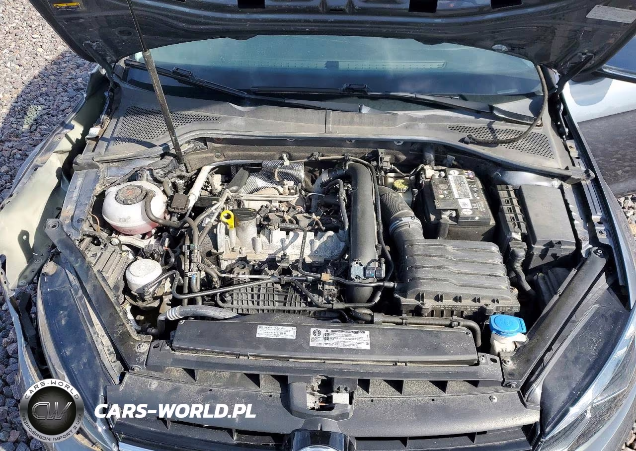 2019 Volkswagen Golf Sportwagen S VIN:3VWY57AU5KM503793 - 11