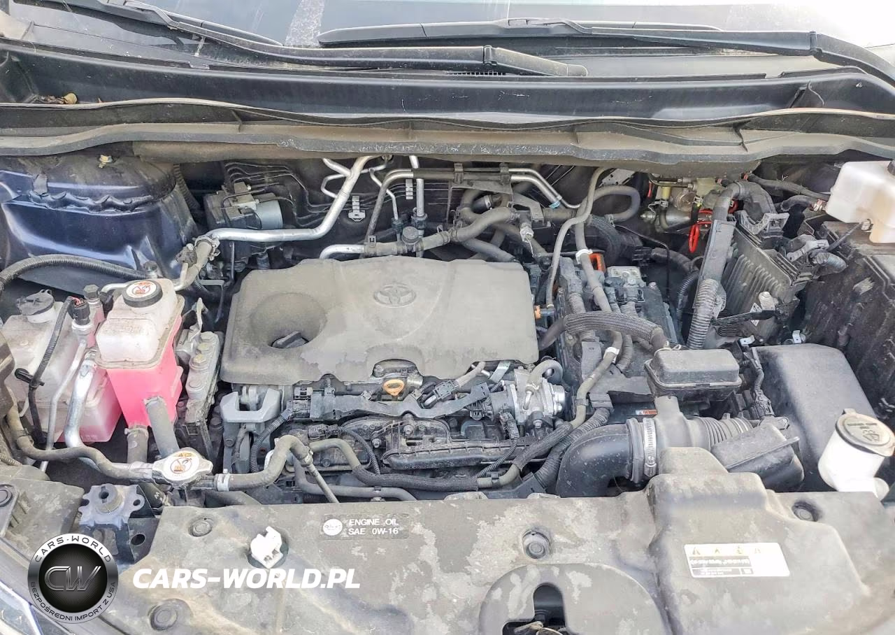 2023 Toyota Sienna Xle VIN:5TDYRKEC1PS137656 - 11