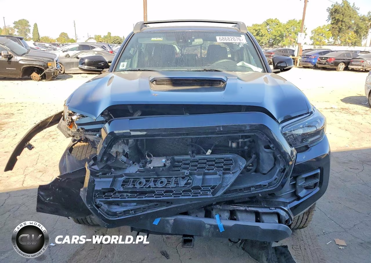 2019 Toyota Tacoma Trd Pro VIN:5TFCZ5AN1KX193408 - 5
