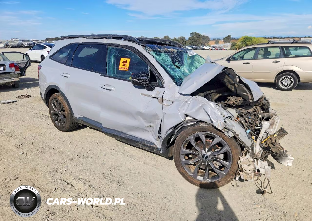 2023 Kia Sorento Ex VIN:5XYRHDLF6PG241931 - 4