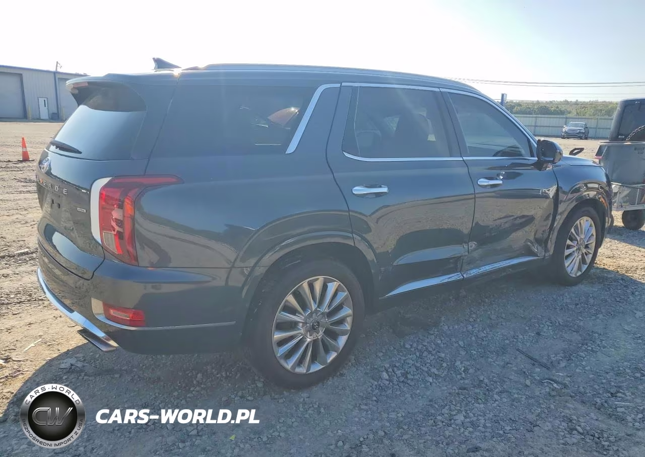 2020 Hyundai Palisade Limited VIN:KM8R5DHE7LU037524 - 3