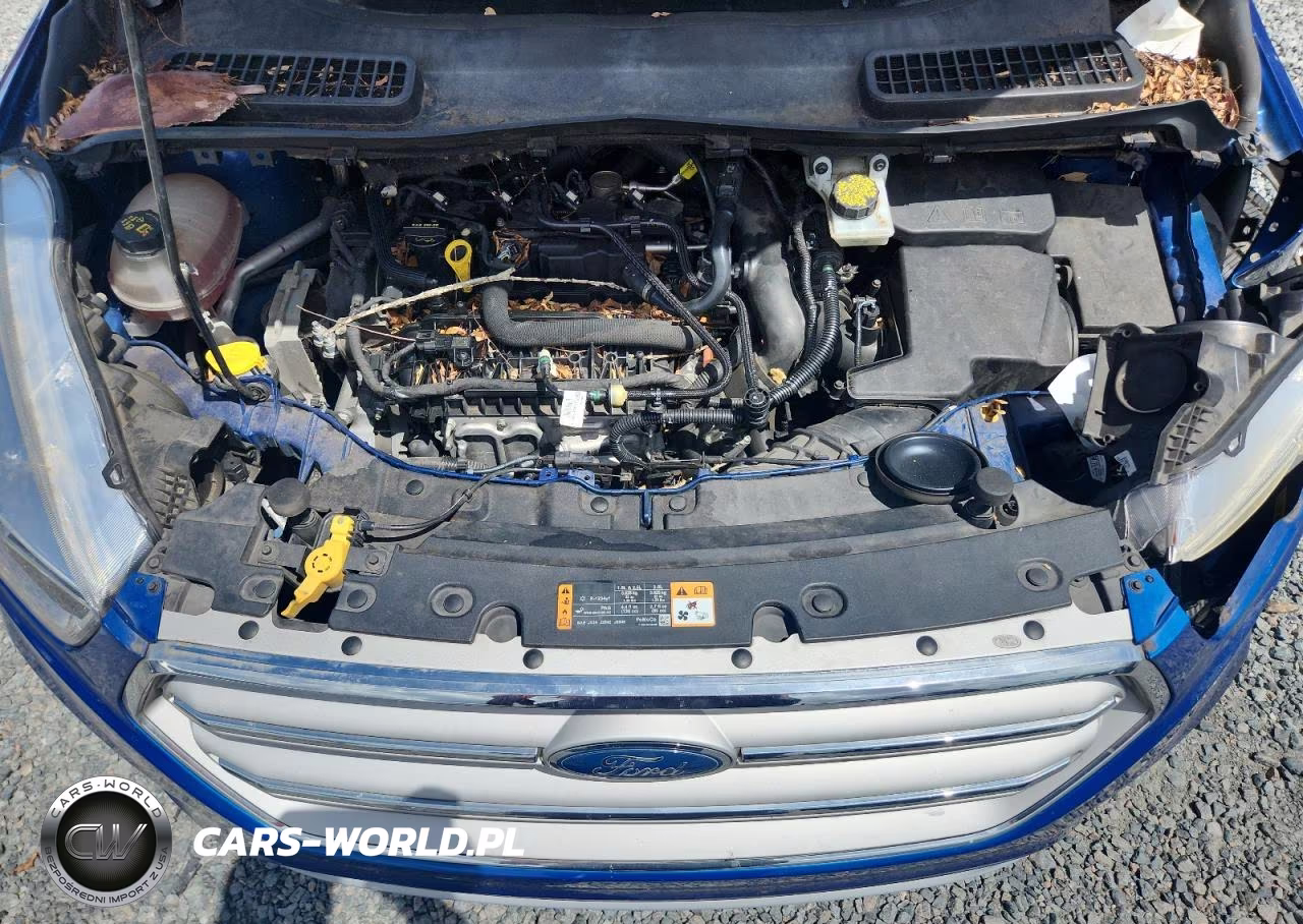 2019 Ford Escape Se VIN:1FMCU0GD9KUA11998 - 12