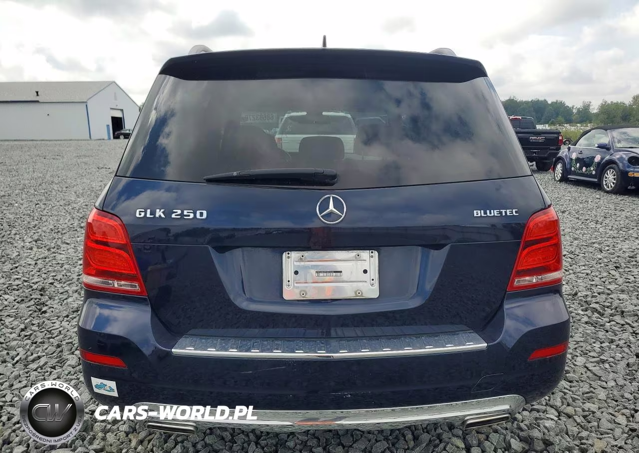 2015 Mercedes-Benz Glk 250 Bluetec VIN:WDCGG0EB9FG372368 - 6