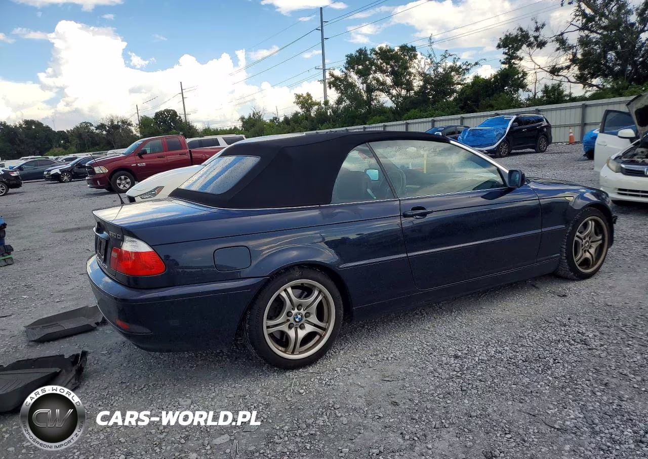 2004 BMW 330 Ci VIN:WBABW534X4PL43508 - 3