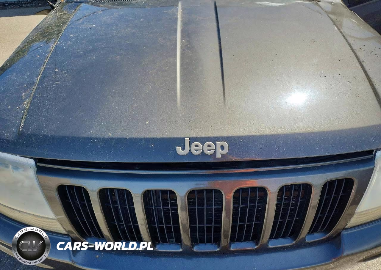 1999 Jeep Grand Cherokee Limited VIN:1J4GW68N2XC662732 - 12