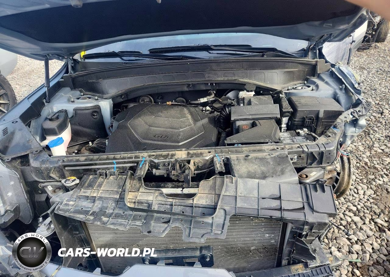 2023 Kia Telluride Sx VIN:5XYP5DGC2PG356932 - 11