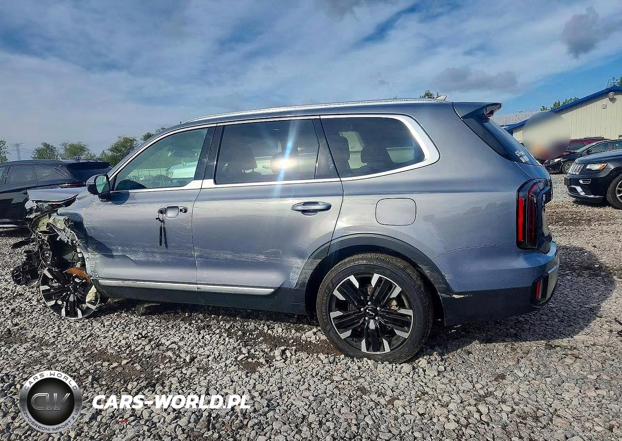 2023 Kia Telluride Sx VIN:5XYP5DGC2PG356932 - 2