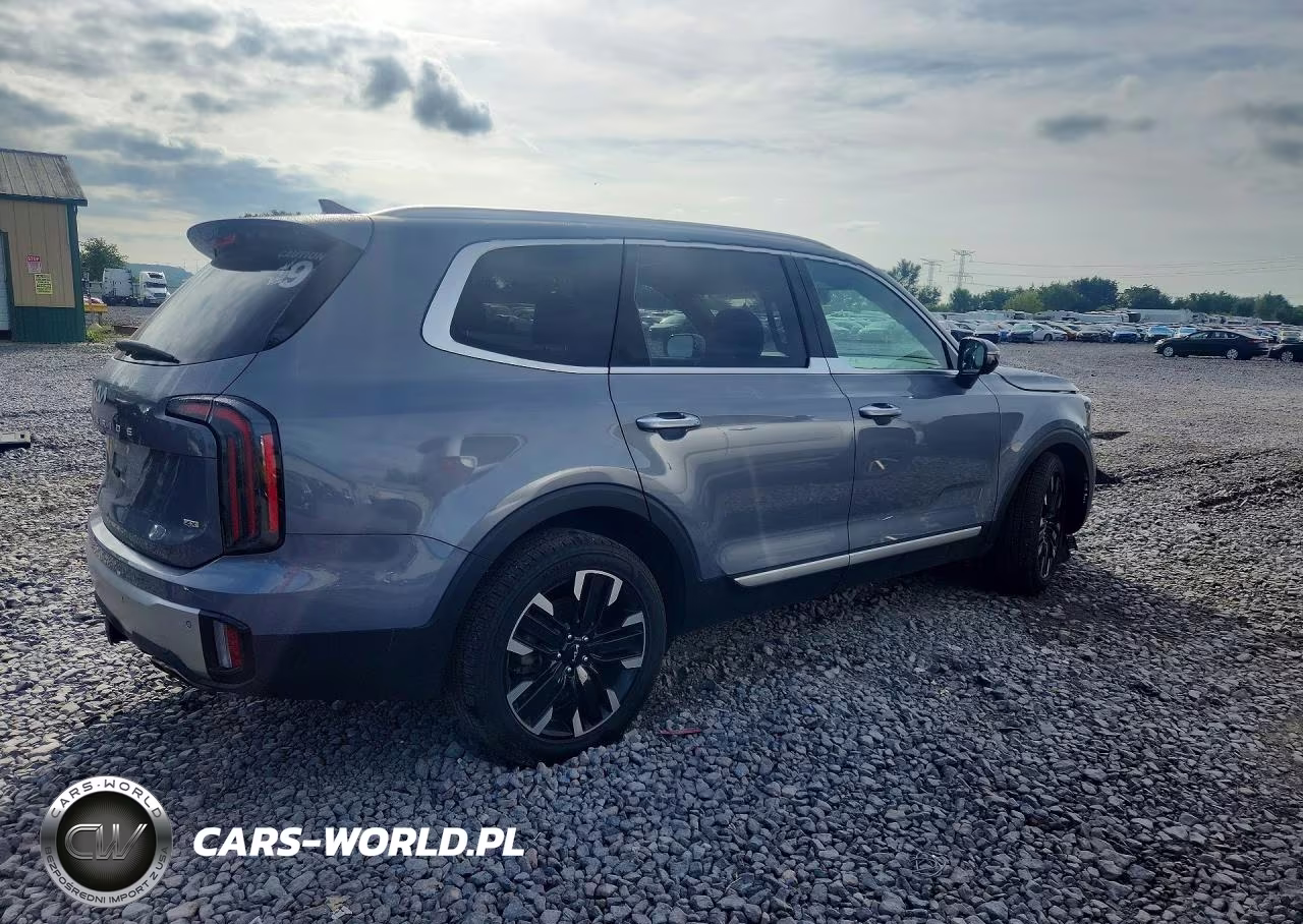 2023 Kia Telluride Sx VIN:5XYP5DGC2PG356932 - 3