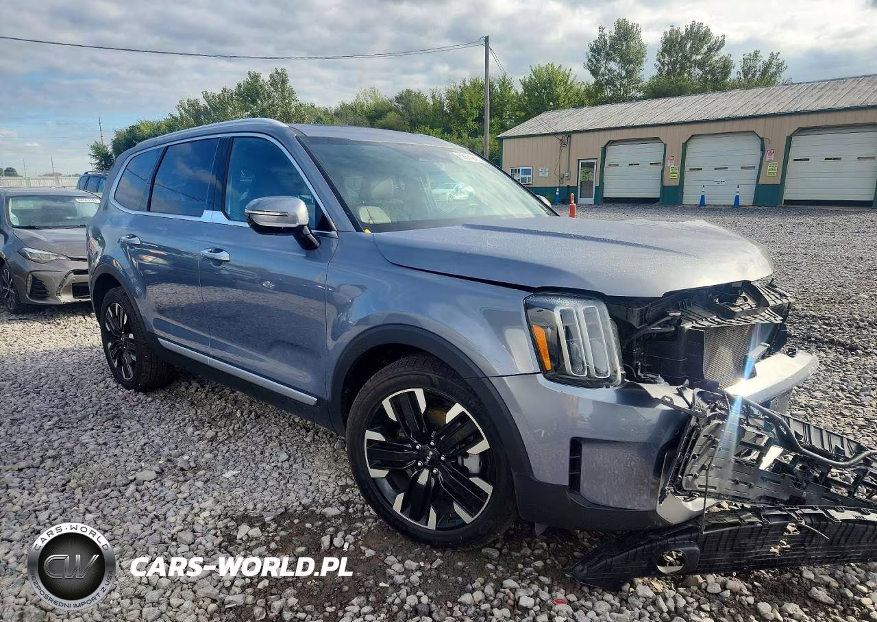 2023 Kia Telluride Sx VIN:5XYP5DGC2PG356932 - 4