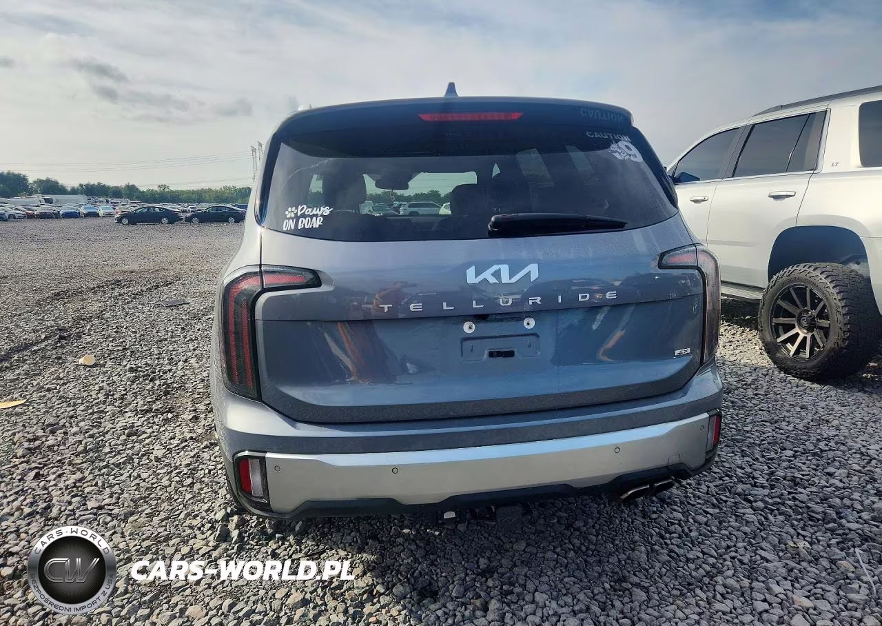 2023 Kia Telluride Sx VIN:5XYP5DGC2PG356932 - 6