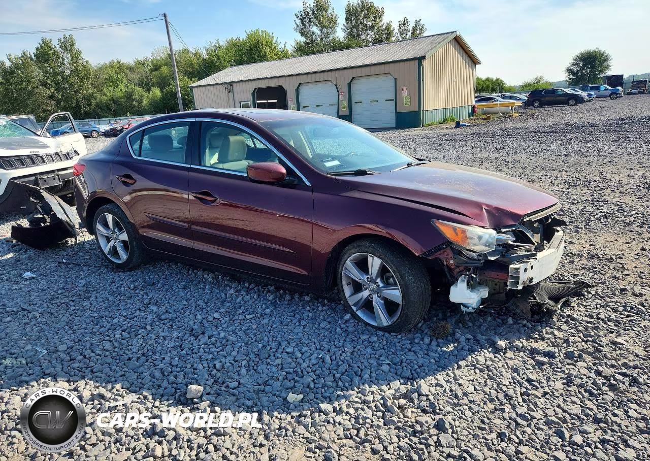 2014 Acura Ilx 20 Premium VIN:19VDE1F53EE002392 - 4
