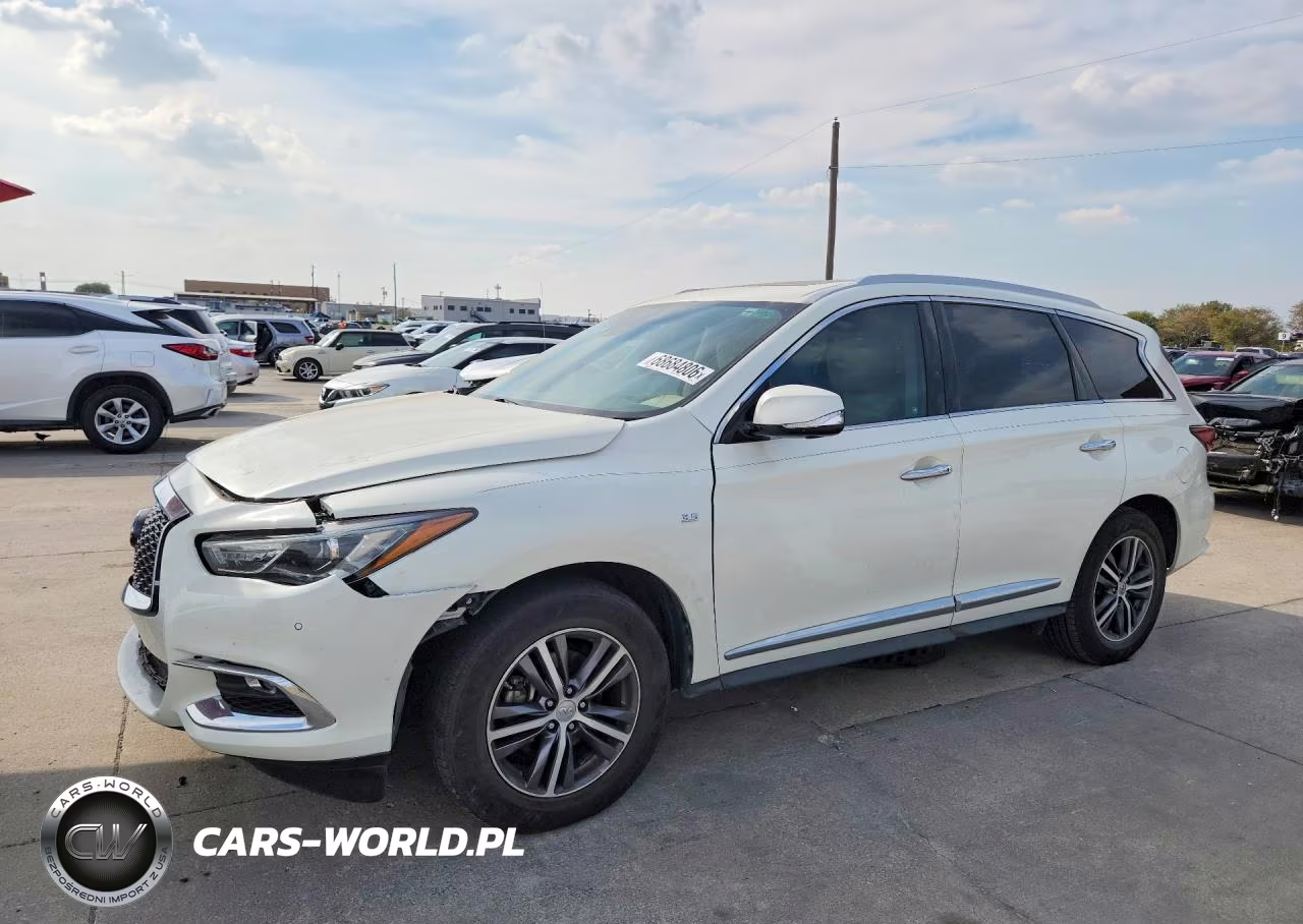 2019 Infiniti Qx60 Luxe VIN:5N1DL0MN9KC516997 - 1