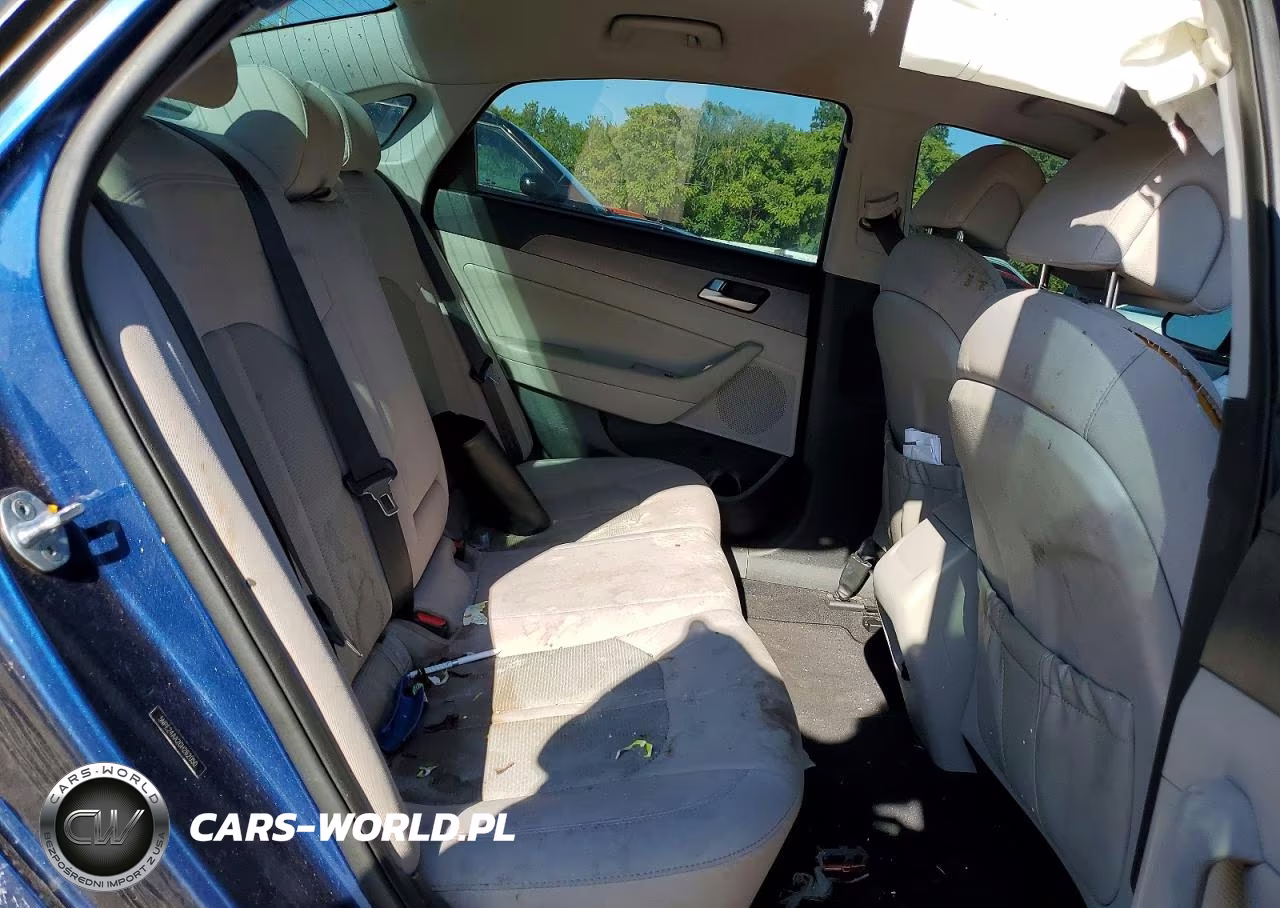 2016 Hyundai Sonata Eco VIN:5NPE24AA2GH262050 - 10