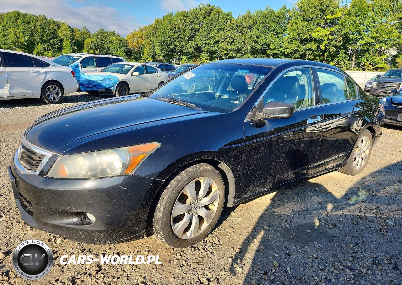 2010 Honda Accord Exl VIN:1HGCP3F87AA030875 - 1