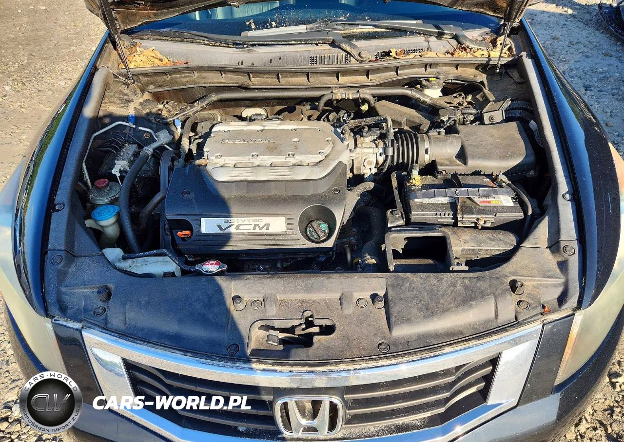 2010 Honda Accord Exl VIN:1HGCP3F87AA030875 - 11
