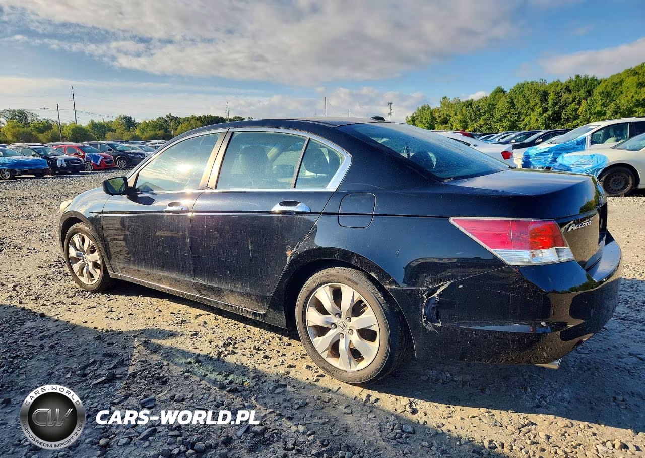2010 Honda Accord Exl VIN:1HGCP3F87AA030875 - 2