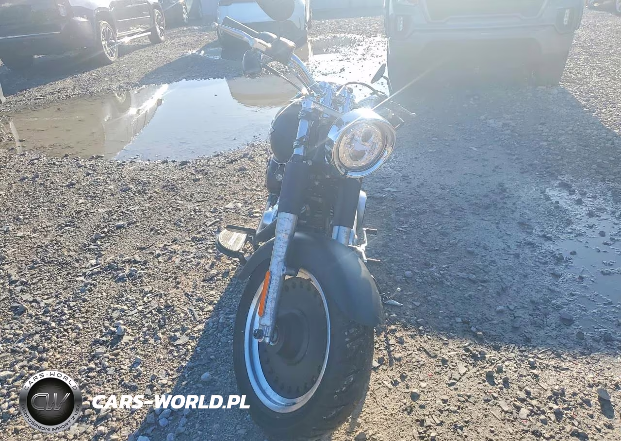 2011 Harley-Davidson Flstfb VIN:1HD1JN514BB019625 - 2
