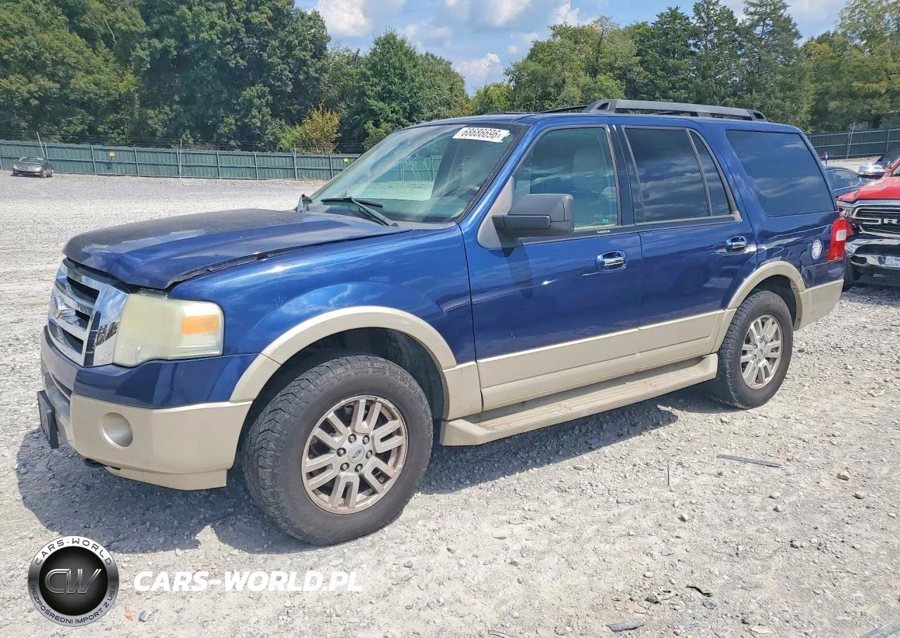 2010 Ford Expedition Eddie Bauer